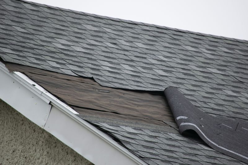 Shingle Replacement